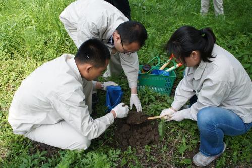 重金屬污染土壤修復策略之生物修復技術