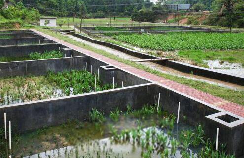 農村生活污水治理——穩定塘處理技術