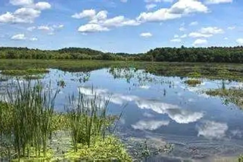 河北華清